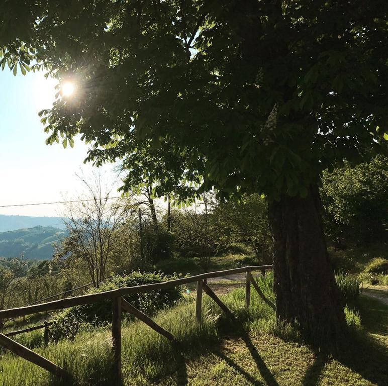 Bed and Breakfast Casa Branzele à Trezzo Tinella Extérieur photo